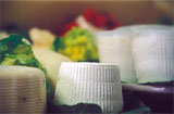 Ricotta